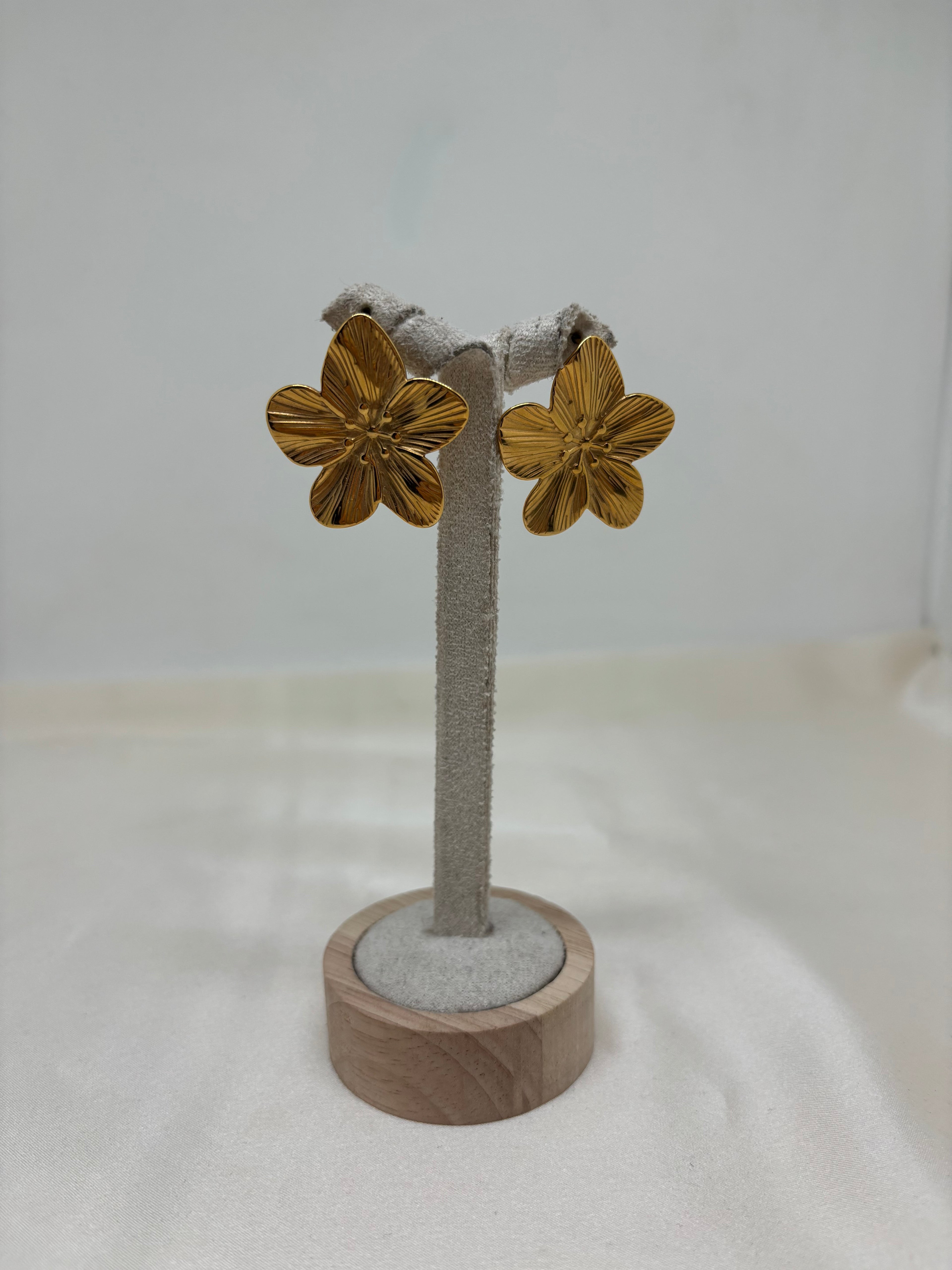 Earrings 31