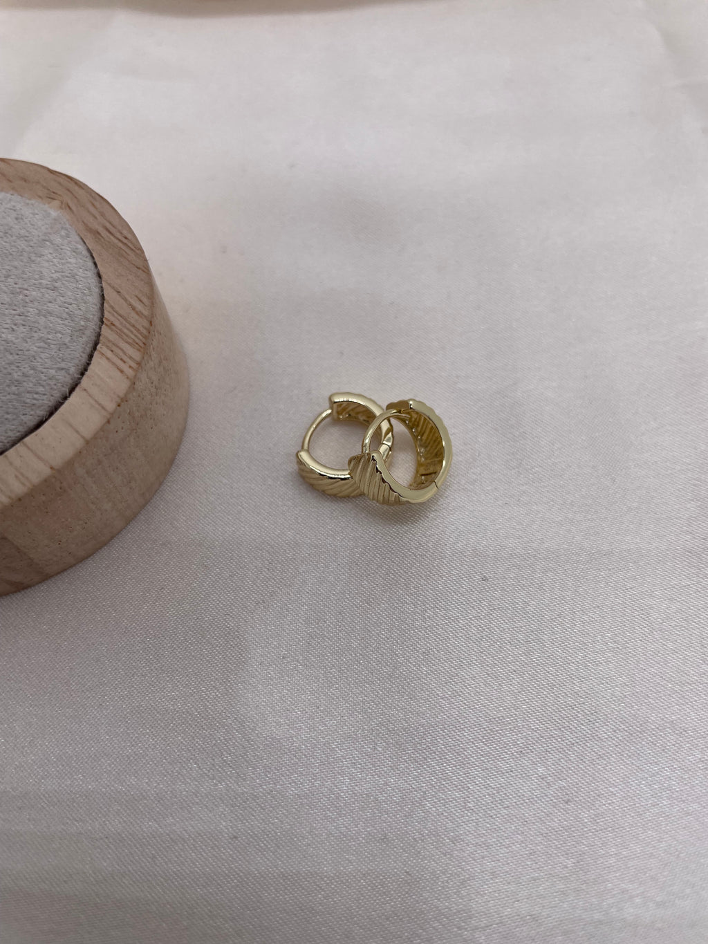Small Size Lined Hoop Earrings