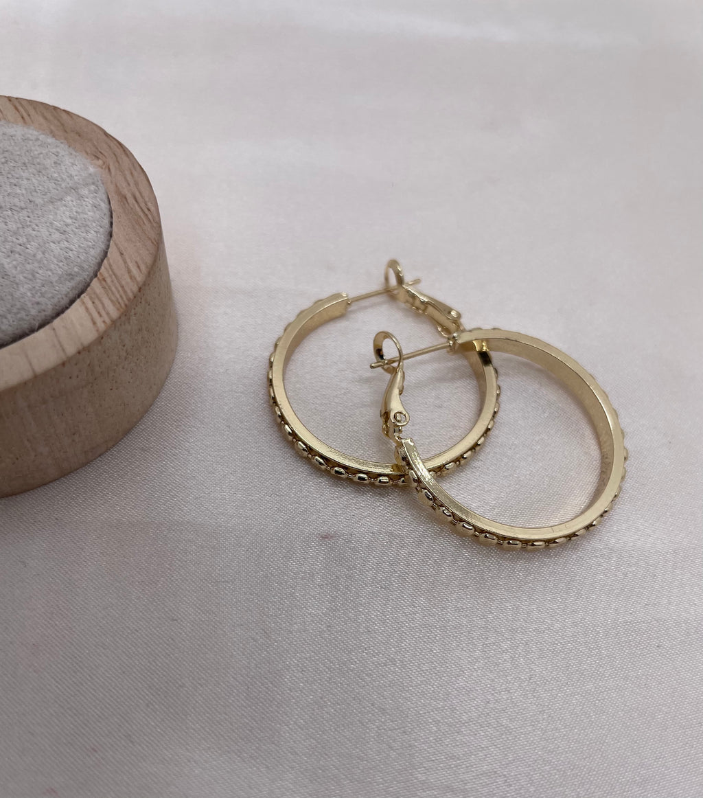 Hoop Earrings X5