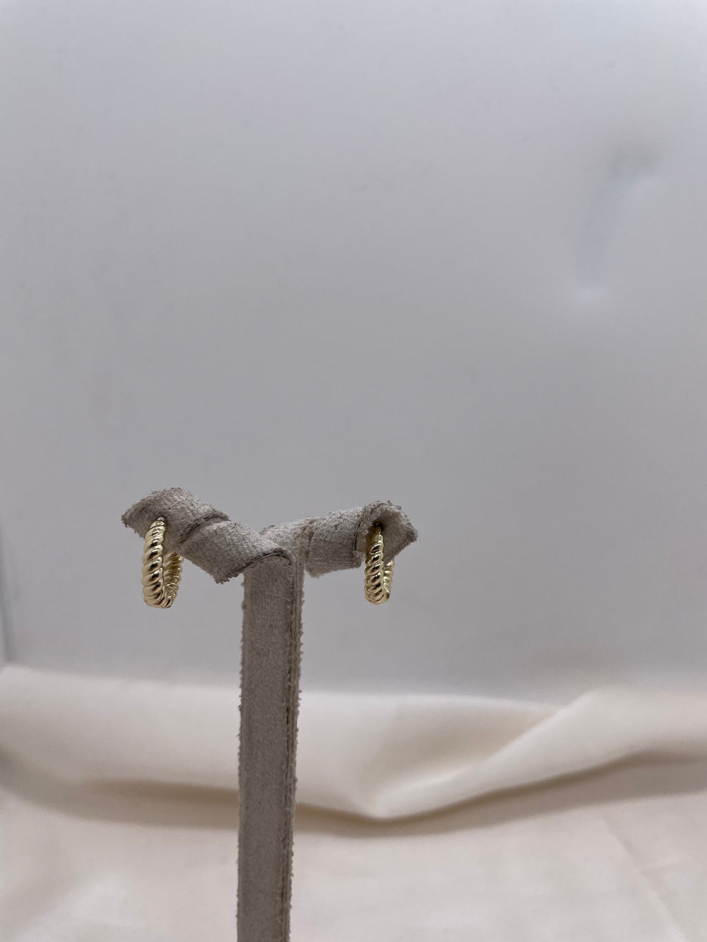Small Hoop Earrings