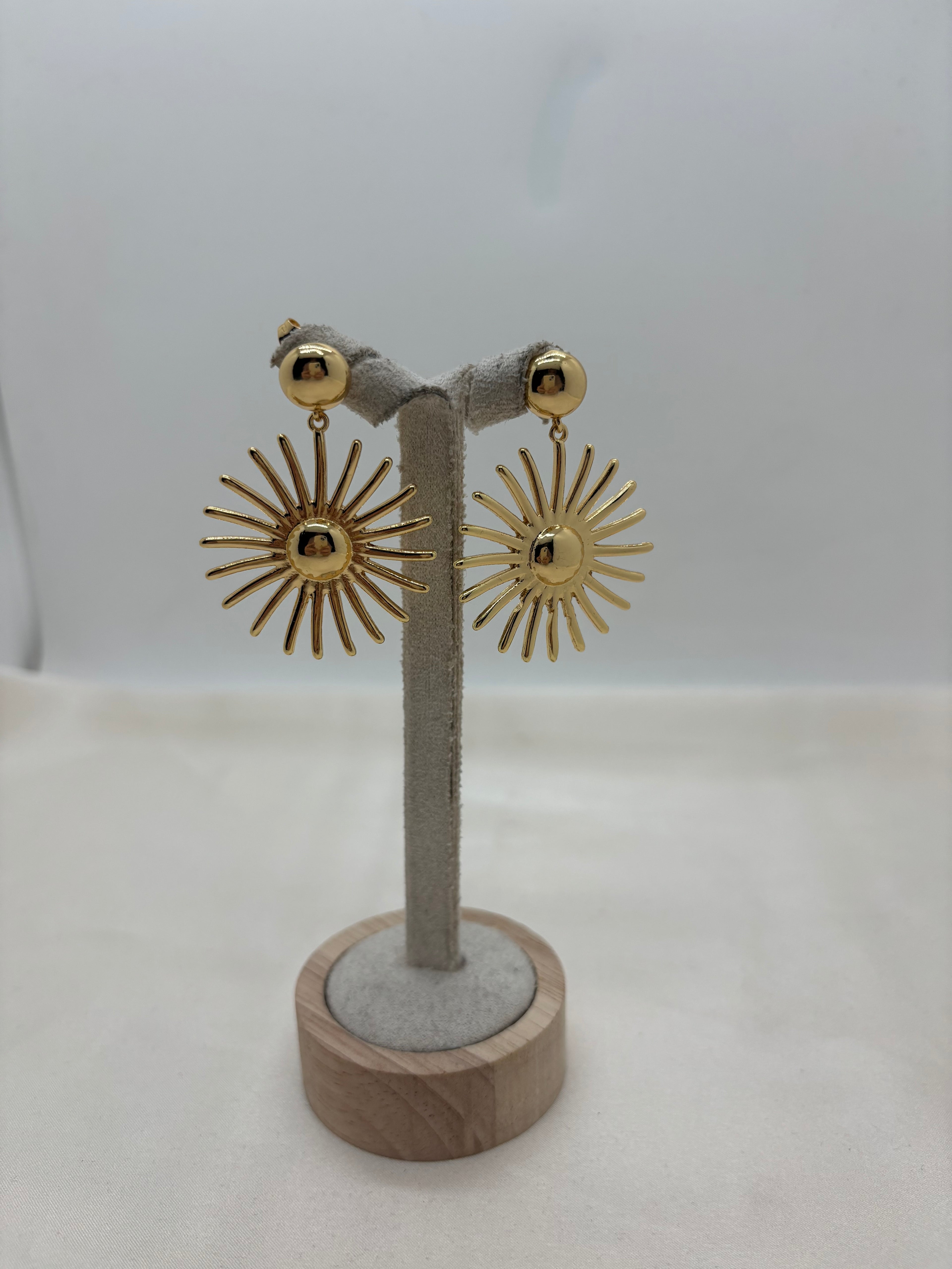 Earrings 26