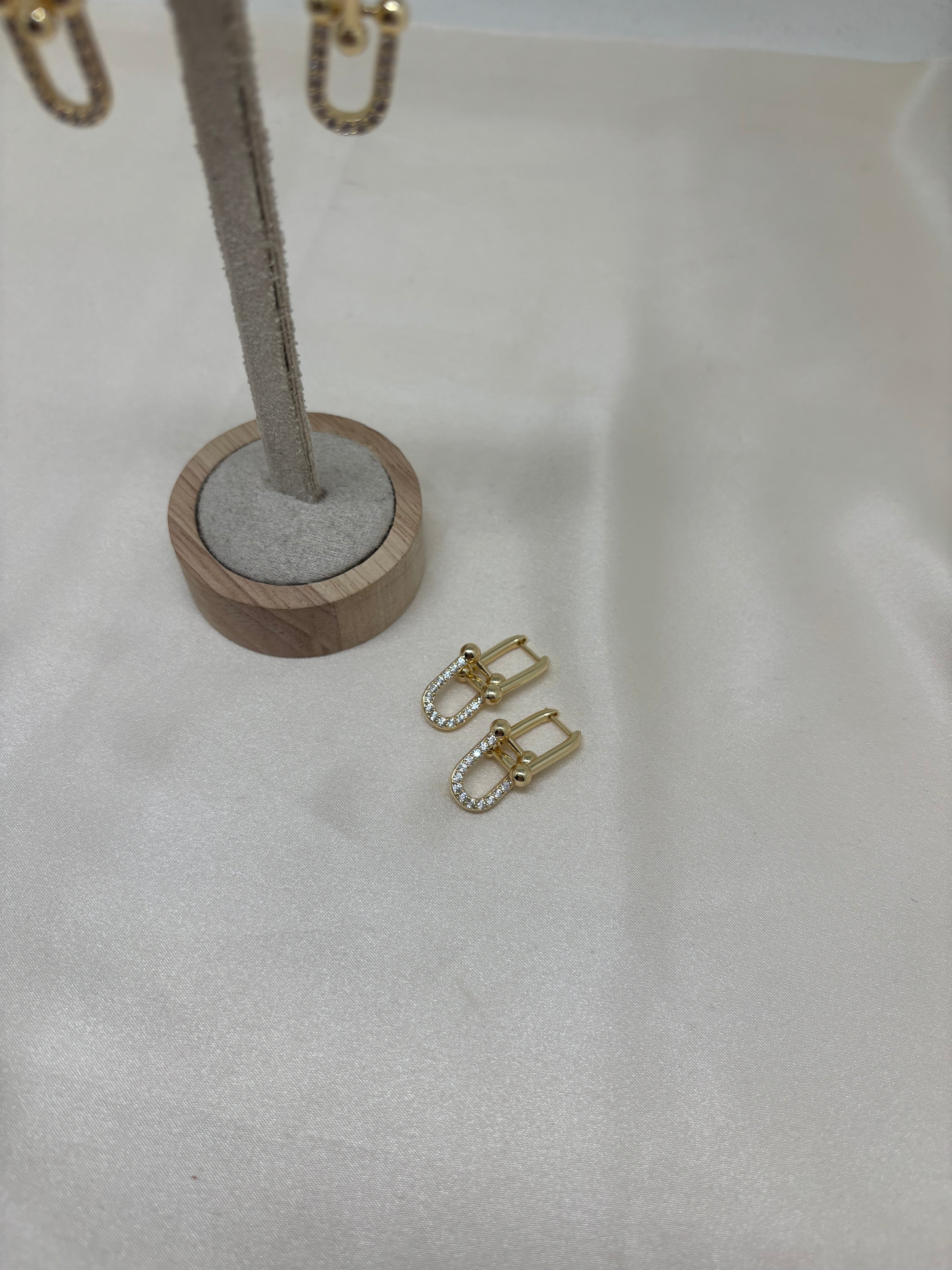 Earrings 39