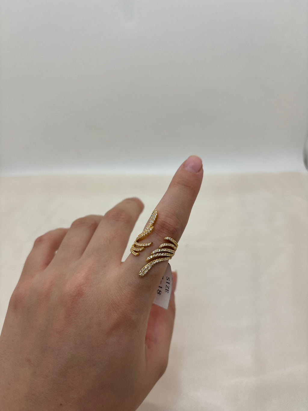 Ring 17