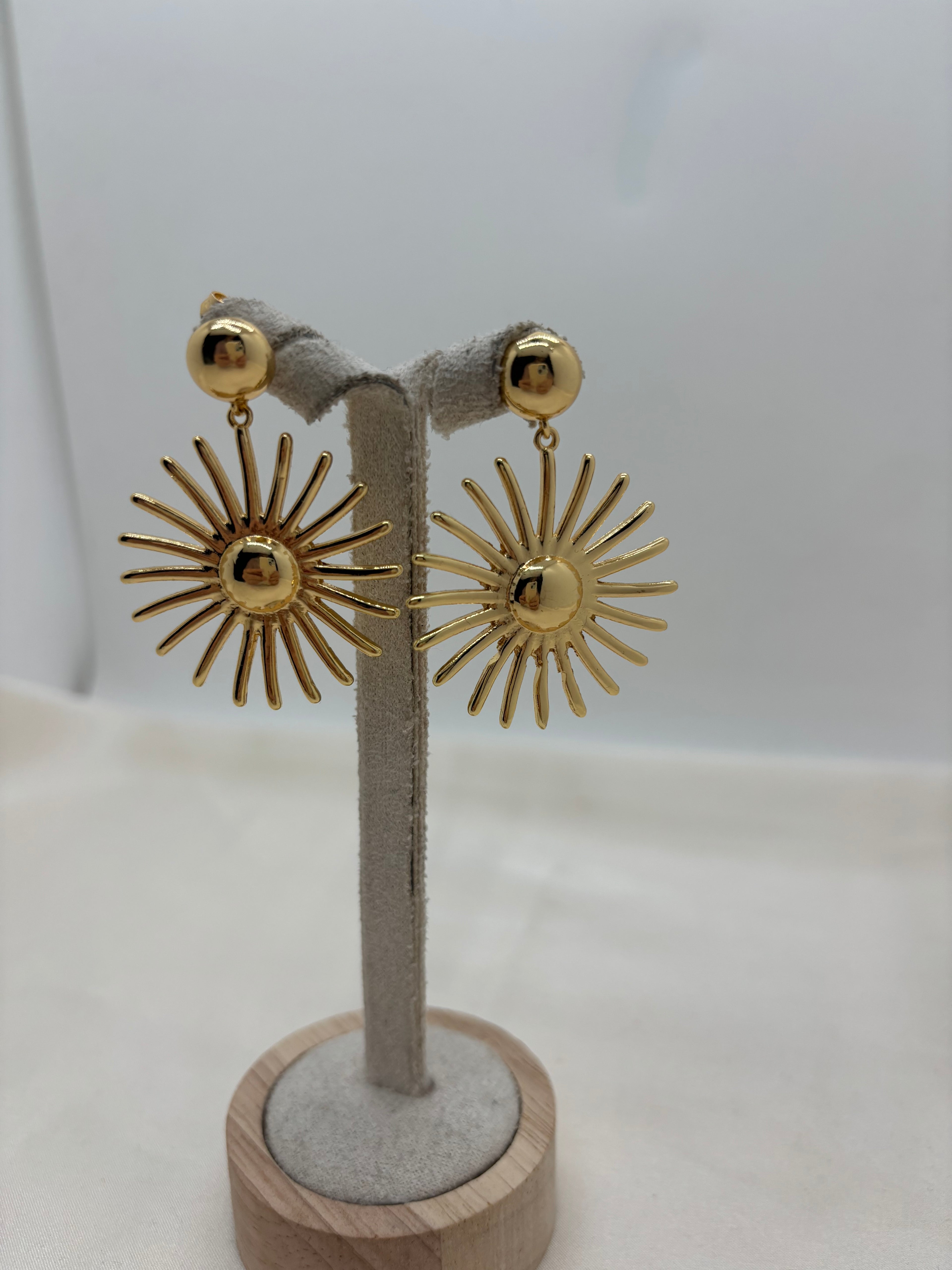 Earrings 26